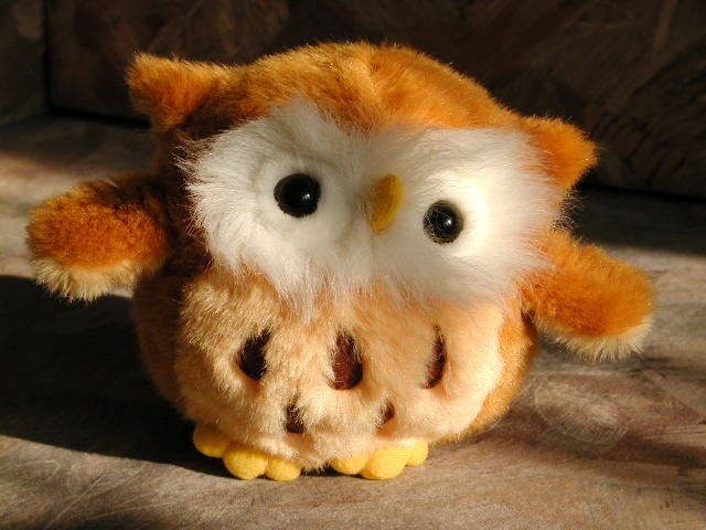 A baglyom (tényleg bagoly és nem labda). Ha repülni szeretnéd látni le kell töltened a mögé csatolt `mágikus` MOV képet. Nem árt ha van QT varázslatod.